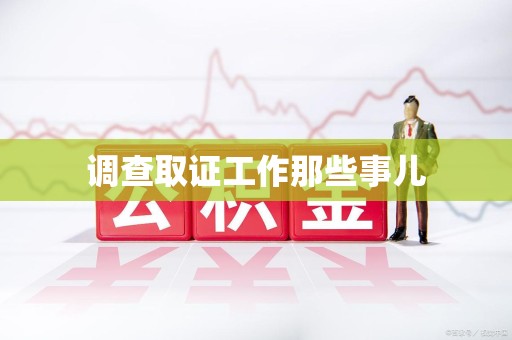 龙文调查取证工作那些事儿