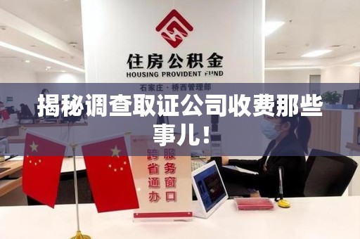龙文揭秘调查取证公司收费那些事儿！