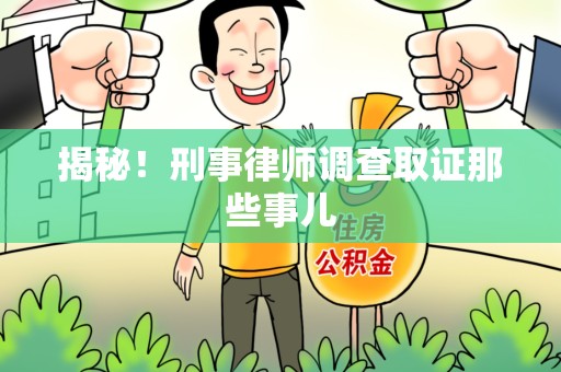 龙文揭秘！刑事律师调查取证那些事儿