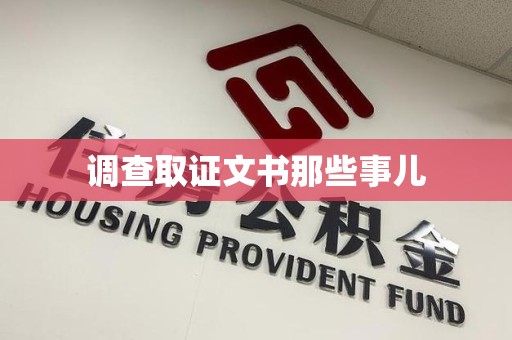 龙文调查取证文书那些事儿