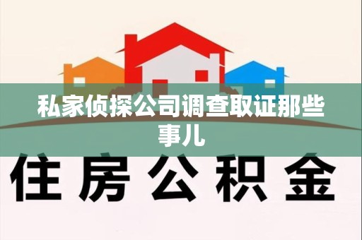 龙文私家侦探公司调查取证那些事儿