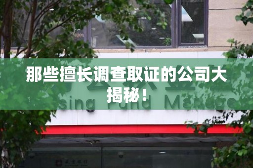 龙文那些擅长调查取证的公司大揭秘！