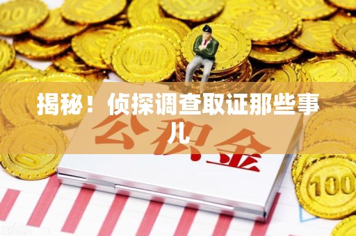 龙文揭秘！侦探调查取证那些事儿