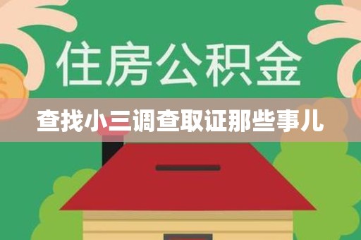 龙文查找小三调查取证那些事儿