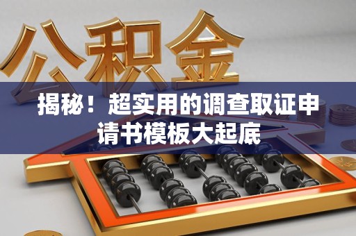 龙文揭秘！超实用的调查取证申请书模板大起底