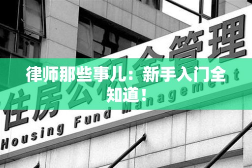 龙文律师那些事儿：新手入门全知道！
