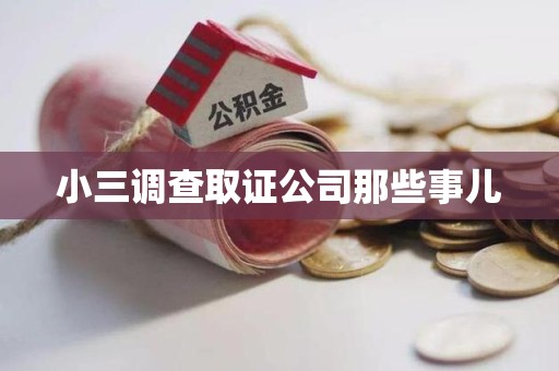 龙文小三调查取证公司那些事儿