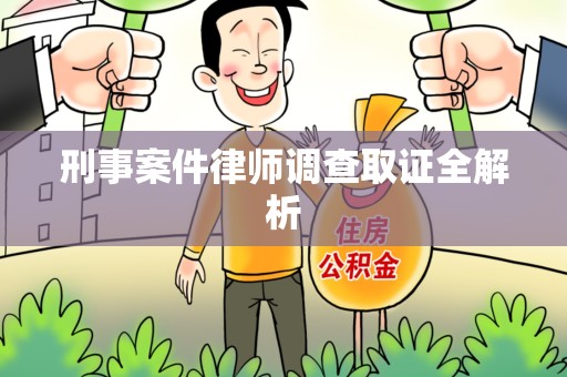 龙文刑事案件律师调查取证全解析