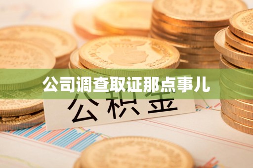龙文公司调查取证那点事儿