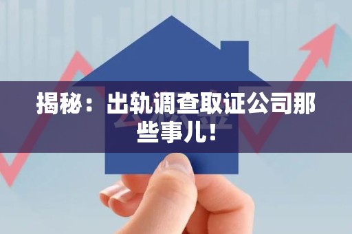 龙文揭秘：出轨调查取证公司那些事儿！