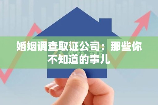 龙文婚姻调查取证公司：那些你不知道的事儿