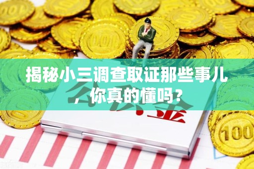 龙文揭秘小三调查取证那些事儿，你真的懂吗？