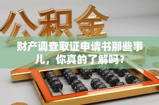 龙文财产调查取证申请书那些事儿，你真的了解吗？