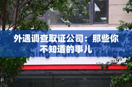 龙文外遇调查取证公司：那些你不知道的事儿