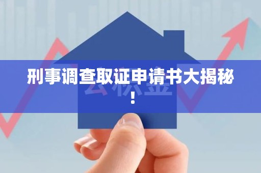 龙文刑事调查取证申请书大揭秘！