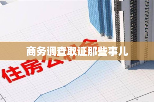 龙文商务调查取证那些事儿