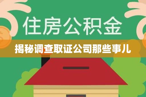 龙文揭秘调查取证公司那些事儿