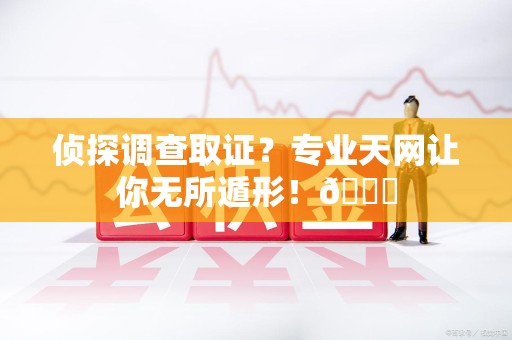 龙文侦探调查取证？专业天网让你无所遁形！😎