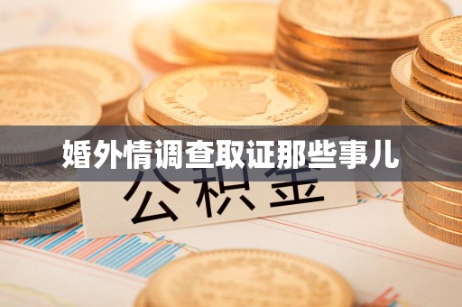 龙文婚外情调查取证那些事儿