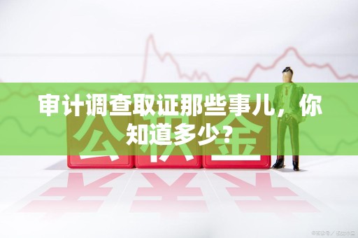 龙文审计调查取证那些事儿，你知道多少？