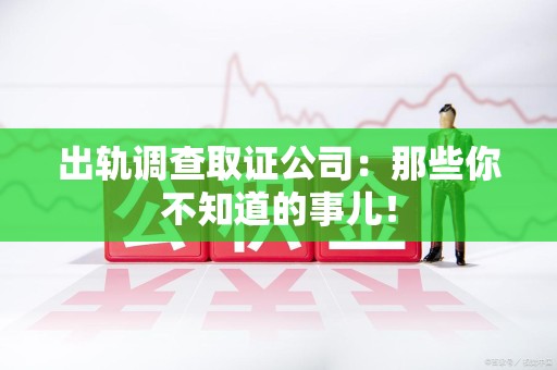 龙文出轨调查取证公司：那些你不知道的事儿！