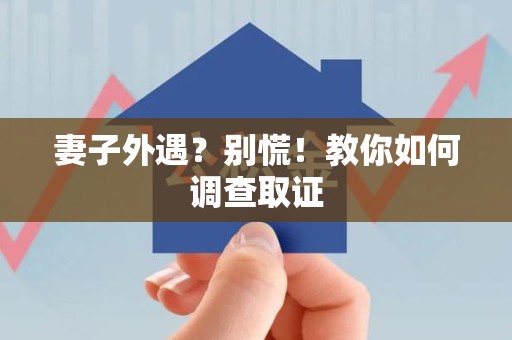 龙文妻子外遇?别慌!教你如何调查取证 龙文妻子外遇?别慌!教你如何调查取证