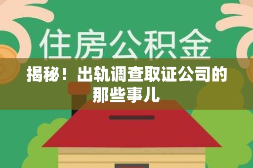 龙文揭秘！出轨调查取证公司的那些事儿