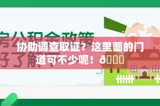 龙文协助调查取证？这里面的门道可不少呢！😎