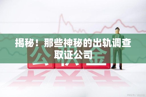 龙文揭秘！那些神秘的出轨调查取证公司