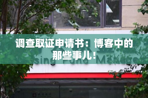 龙文调查取证申请书：博客中的那些事儿！