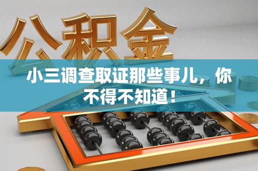龙文小三调查取证那些事儿，你不得不知道！