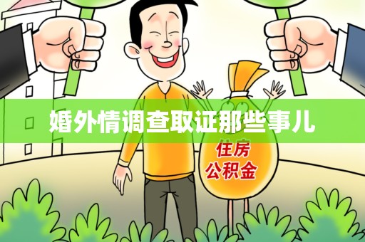 龙文婚外情调查取证那些事儿