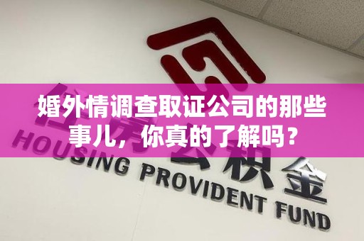 龙文婚外情调查取证公司的那些事儿，你真的了解吗？