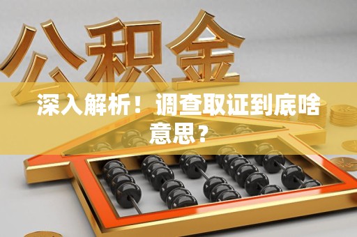 龙文深入解析！调查取证到底啥意思？