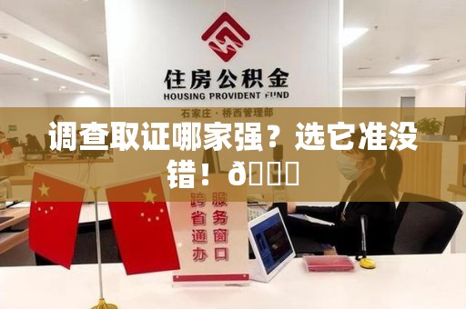 龙文调查取证哪家强？选它准没错！😎