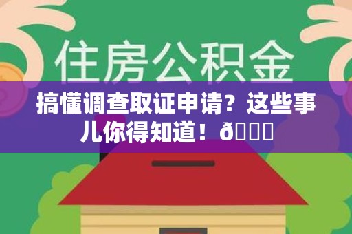 龙文搞懂调查取证申请？这些事儿你得知道！😎