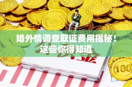 龙文婚外情调查取证费用揭秘！这些你得知道
