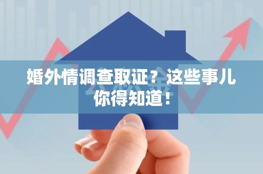 龙文婚外情调查取证？这些事儿你得知道！