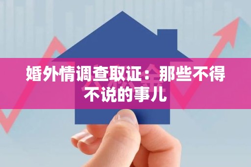龙文婚外情调查取证：那些不得不说的事儿