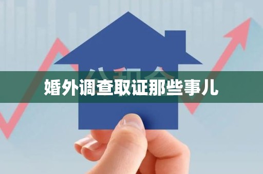 龙文婚外调查取证那些事儿