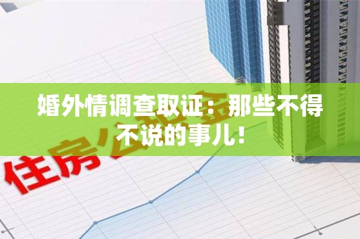 龙文婚外情调查取证：那些不得不说的事儿！
