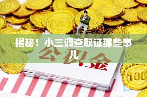 龙文揭秘！小三调查取证那些事儿