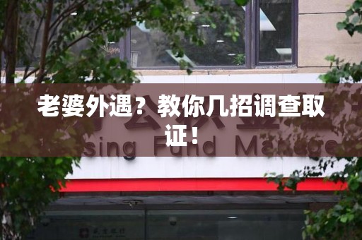 龙文老婆外遇？教你几招调查取证！