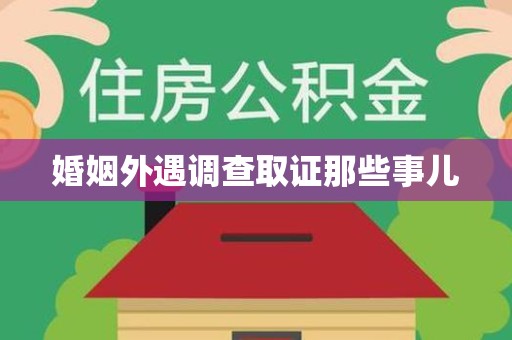 龙文婚姻外遇调查取证那些事儿