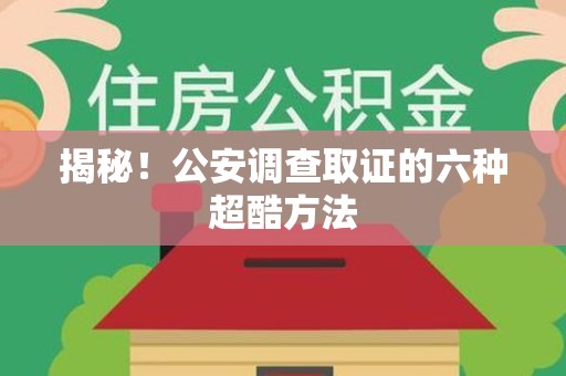 龙文揭秘！公安调查取证的六种超酷方法