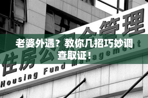 龙文老婆外遇？教你几招巧妙调查取证！