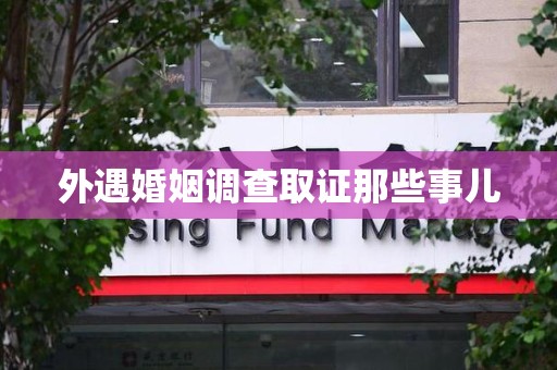 龙文外遇婚姻调查取证那些事儿