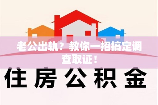 龙文老公出轨？教你一招搞定调查取证！