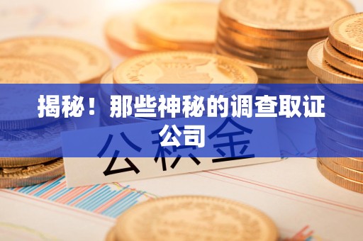 龙文揭秘！那些神秘的调查取证公司