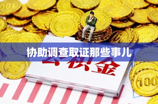 龙文协助调查取证那些事儿